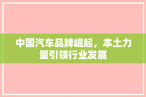 中国汽车品牌崛起，本土力量引领行业发展