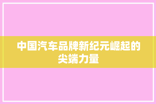 中国汽车品牌新纪元崛起的尖端力量
