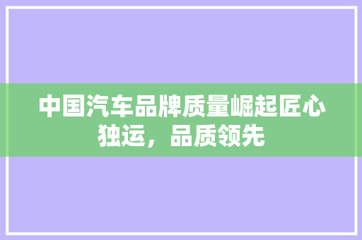 中国汽车品牌质量崛起匠心独运，品质领先