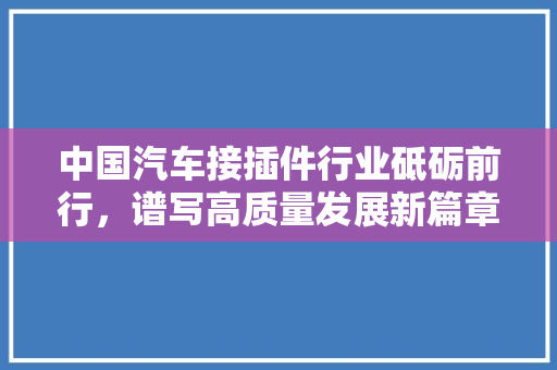 中国汽车接插件行业砥砺前行，谱写高质量发展新篇章