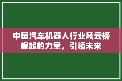 中国汽车机器人行业风云榜崛起的力量，引领未来