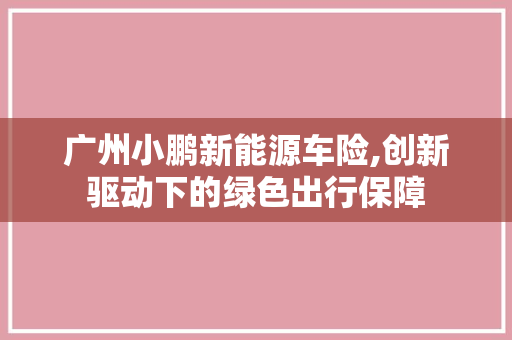 广州小鹏新能源车险,创新驱动下的绿色出行保障