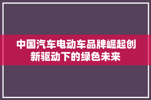 中国汽车电动车品牌崛起创新驱动下的绿色未来