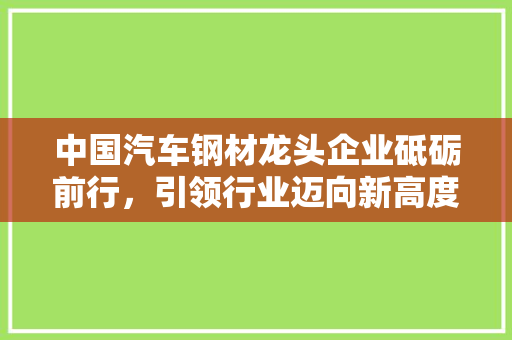 中国汽车钢材龙头企业砥砺前行，引领行业迈向新高度