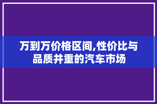 万到万价格区间,性价比与品质并重的汽车市场