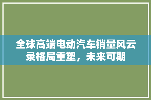 全球高端电动汽车销量风云录格局重塑，未来可期