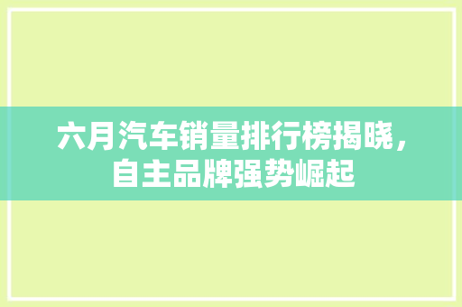 六月汽车销量排行榜揭晓，自主品牌强势崛起