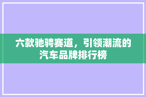 六款驰骋赛道，引领潮流的汽车品牌排行榜