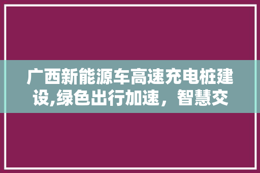 广西新能源车高速充电桩建设,绿色出行加速，智慧交通未来可期