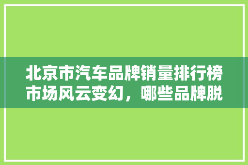 北京市汽车品牌销量排行榜市场风云变幻，哪些品牌脱颖而出