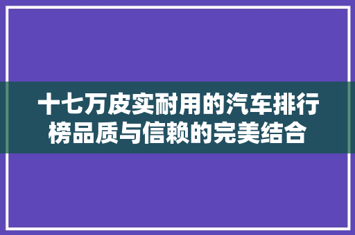 十七万皮实耐用的汽车排行榜品质与信赖的完美结合