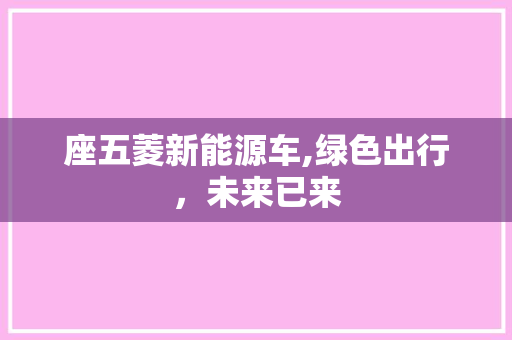 座五菱新能源车,绿色出行，未来已来