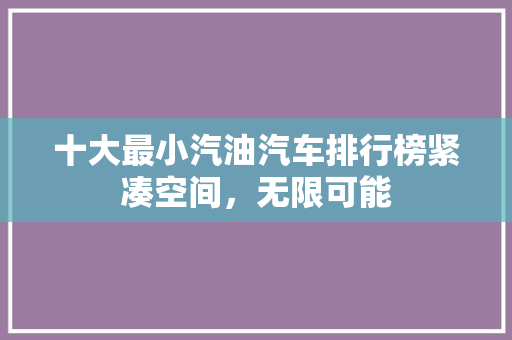 十大最小汽油汽车排行榜紧凑空间，无限可能