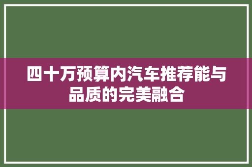 四十万预算内汽车推荐能与品质的完美融合