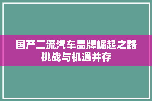 国产二流汽车品牌崛起之路挑战与机遇并存