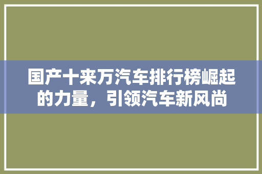 国产十来万汽车排行榜崛起的力量，引领汽车新风尚
