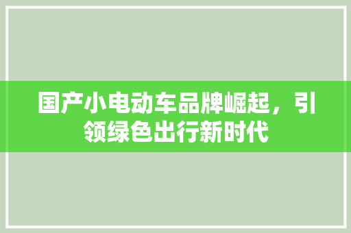 国产小电动车品牌崛起，引领绿色出行新时代
