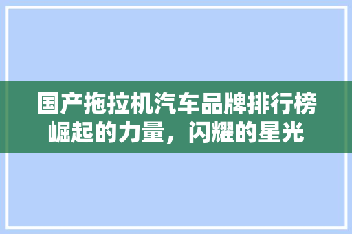 国产拖拉机汽车品牌排行榜崛起的力量，闪耀的星光