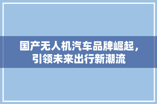 国产无人机汽车品牌崛起，引领未来出行新潮流