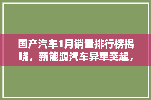 国产汽车1月销量排行榜揭晓，新能源汽车异军突起，传统车企蓄势待发