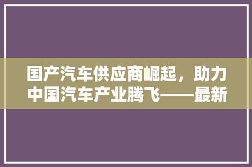 国产汽车供应商崛起，助力中国汽车产业腾飞——最新排行榜解读