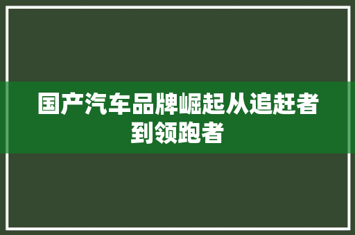 国产汽车品牌崛起从追赶者到领跑者