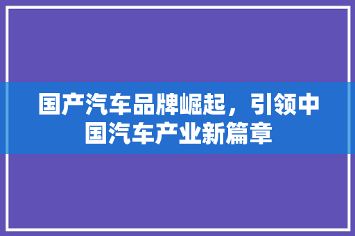 国产汽车品牌崛起，引领中国汽车产业新篇章