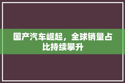 国产汽车崛起，全球销量占比持续攀升
