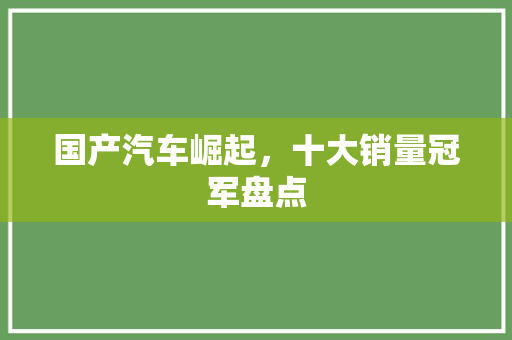 国产汽车崛起，十大销量冠军盘点