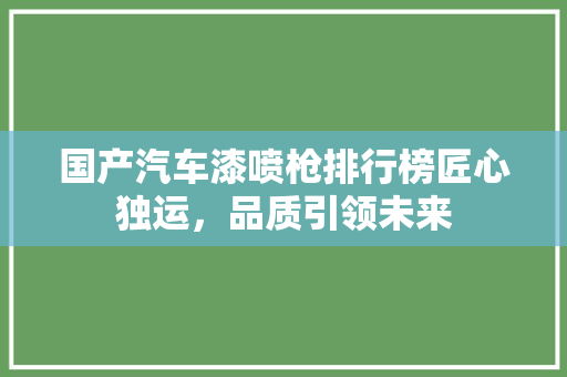 国产汽车漆喷枪排行榜匠心独运，品质引领未来
