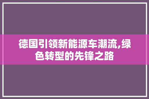 德国引领新能源车潮流,绿色转型的先锋之路