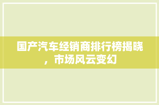 国产汽车经销商排行榜揭晓，市场风云变幻