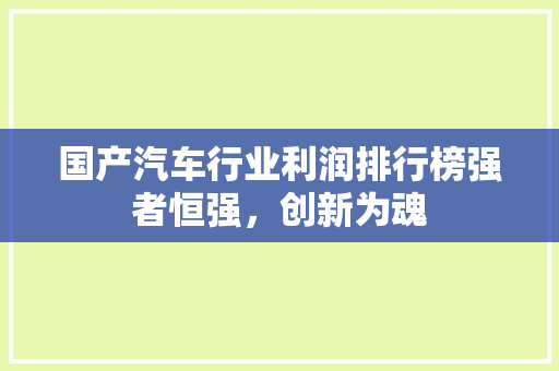 国产汽车行业利润排行榜强者恒强，创新为魂
