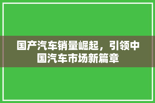 国产汽车销量崛起，引领中国汽车市场新篇章
