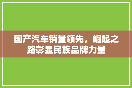国产汽车销量领先，崛起之路彰显民族品牌力量