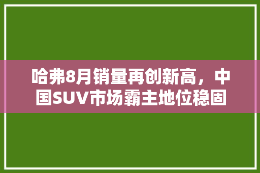哈弗8月销量再创新高，中国SUV市场霸主地位稳固