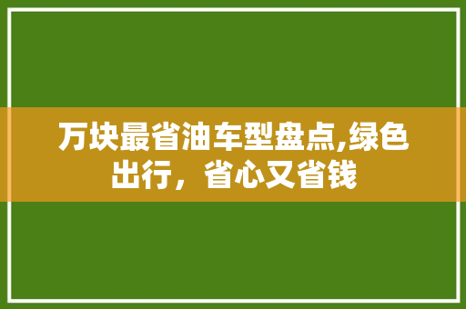 万块最省油车型盘点,绿色出行，省心又省钱