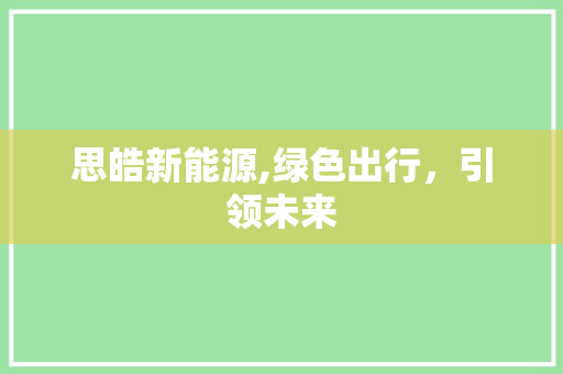 思皓新能源,绿色出行，引领未来