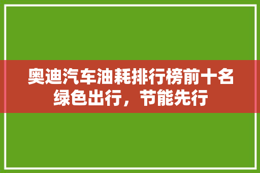 奥迪汽车油耗排行榜前十名绿色出行，节能先行