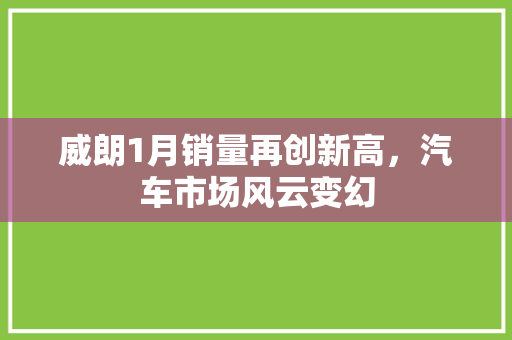 威朗1月销量再创新高，汽车市场风云变幻