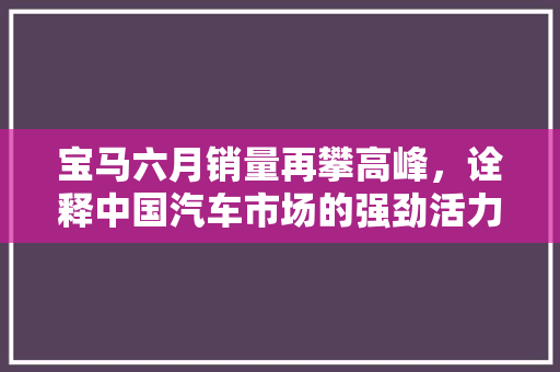宝马六月销量再攀高峰，诠释中国汽车市场的强劲活力