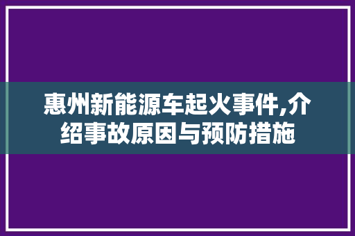 惠州新能源车起火事件,介绍事故原因与预防措施