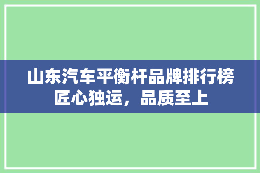 山东汽车平衡杆品牌排行榜匠心独运，品质至上