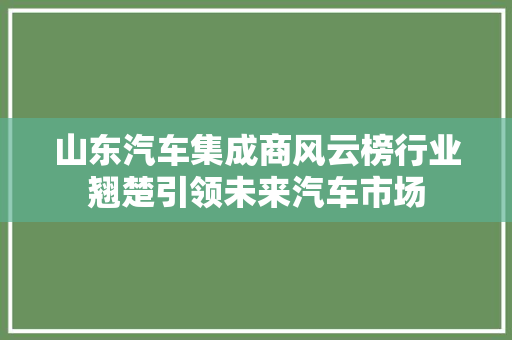 山东汽车集成商风云榜行业翘楚引领未来汽车市场