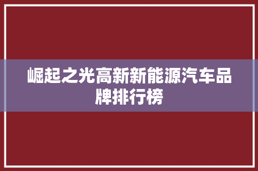 崛起之光高新新能源汽车品牌排行榜
