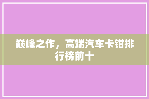 巅峰之作，高端汽车卡钳排行榜前十
