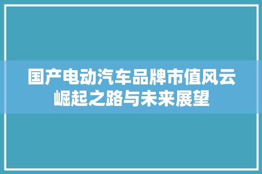 国产电动汽车品牌市值风云崛起之路与未来展望