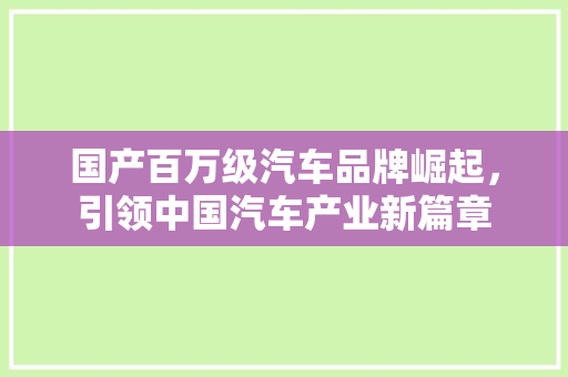 国产百万级汽车品牌崛起，引领中国汽车产业新篇章