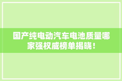 国产纯电动汽车电池质量哪家强权威榜单揭晓！