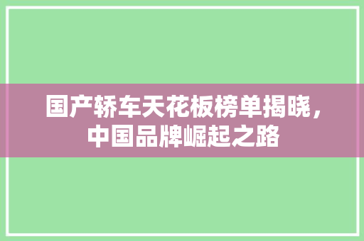 国产轿车天花板榜单揭晓，中国品牌崛起之路